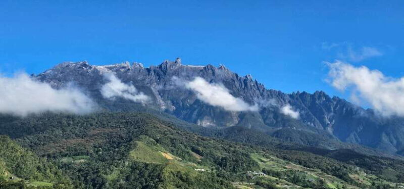 Kota Kinabalu: Poring Hot Spring, and Kinabalu Park Day Trip - The Itinerary in Detail