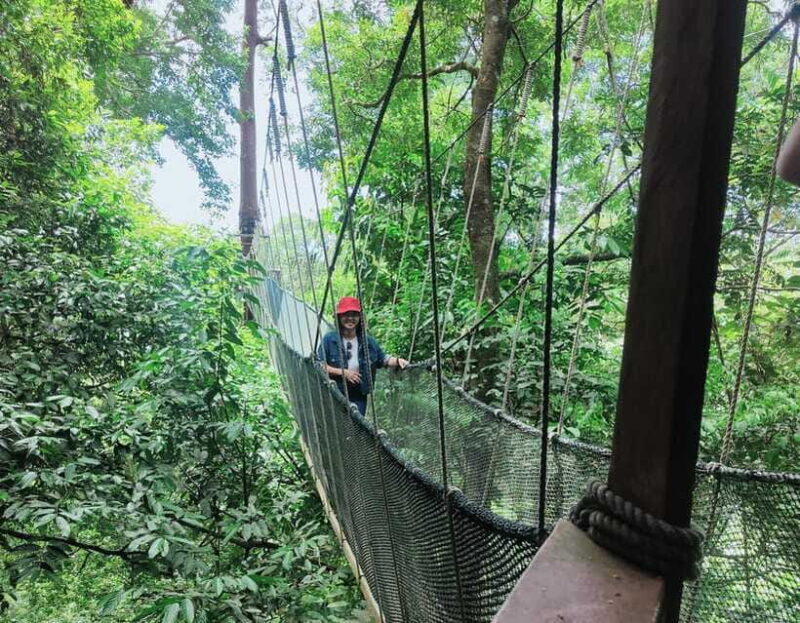 Kota Kinabalu: Poring Hot Spring, and Kinabalu Park Day Trip - Practical Tips for Making the Most of This Tour