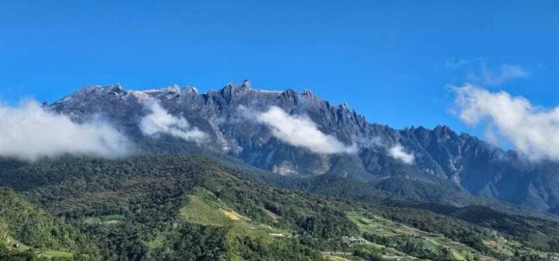 Kota Kinabalu: Poring Hot Spring, and Kinabalu Park Day Trip - Authentic Experiences and Traveler Feedback