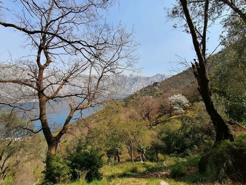 Kotor: Coastal Biking and Hiking Guided Tour - Who Will Love This Tour?