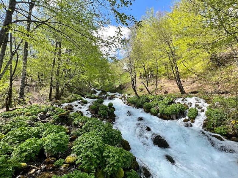 Kotor: Durmitor, Black Lake & Djurdjevica Tara Bridge Tour - The Sum Up