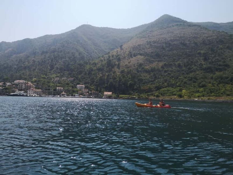 Kotor: Guided Kotor Bay Kayaking Tour - Who Will Love This Tour?