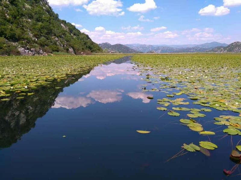 Kotor: Skadar Lake National Park with Wine Tasting - Practical Details and Considerations