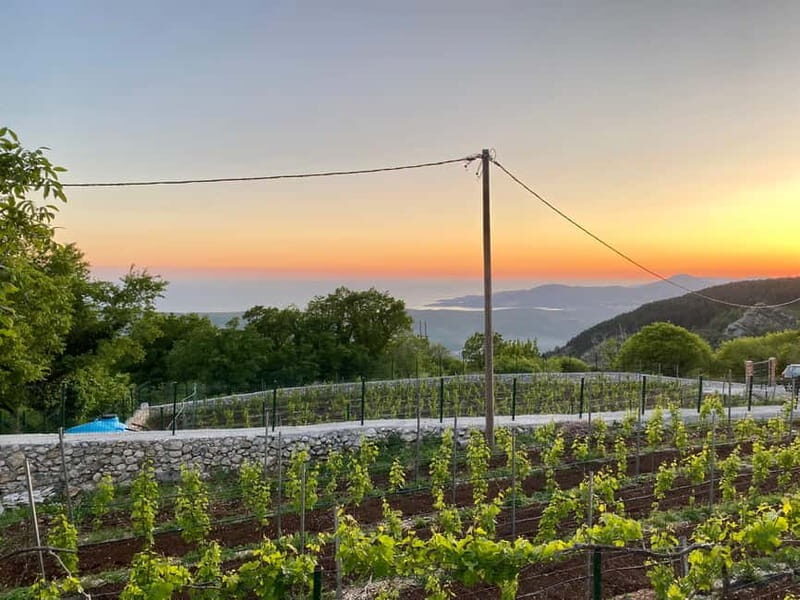 Kotor & Wine: Tasting the Charms Beneath Mount Lovcen - Key Points