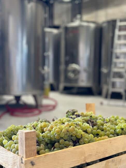 Kotor & Wine: Tasting the Charms Beneath Mount Lovcen - What’s Included and How to Make the Most of It