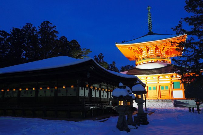 Koyasan Full-Day Private Tour - Visiting the Okunoin Cemetery