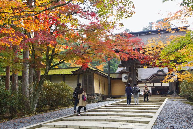 Koyasan Full-Day Private Tour - Experiencing the Shingon Esoteric Buddhism