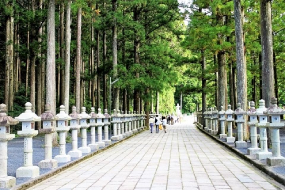 Koyasan: Mt. Koya Guided Private Walking Day Tour - Key Points
