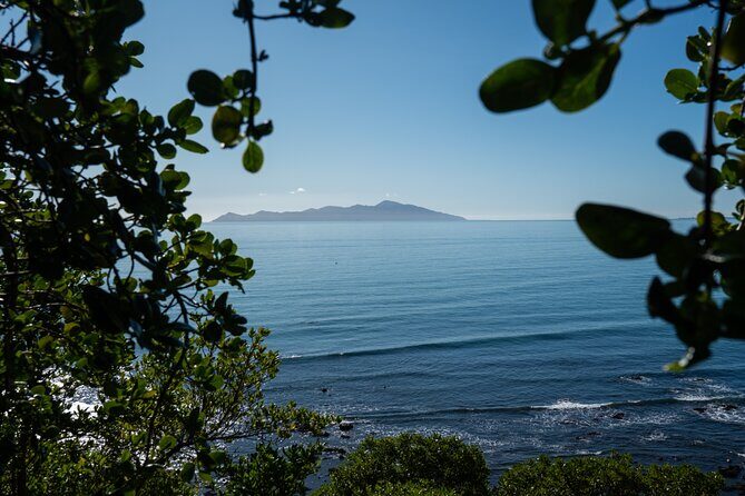 Kpiti Coast: Escarpment Track Guided Hiking Tour, Coffee + Lunch - An In-Depth Look at the Experience