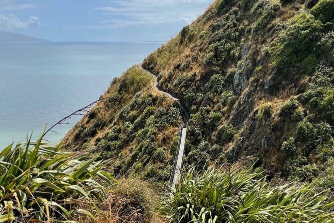 Kpiti Coast: Escarpment Track Guided Hiking Tour, Coffee + Lunch - Practical Details