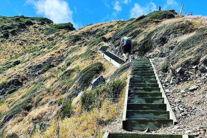Kpiti Coast: Escarpment Track Guided Hiking Tour, Coffee + Lunch - Who Should Consider This Tour?