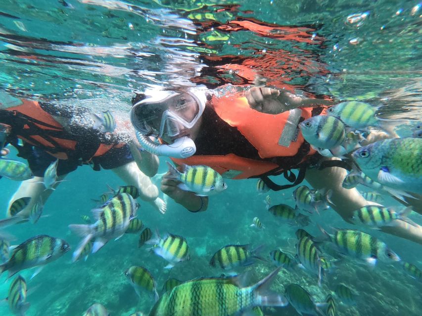Krabi 4 Island One Day Tour by Speed Boat or Longtail Boat - Frequently Asked Questions