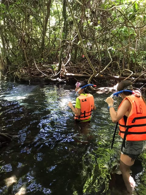 Krabi: Amazon Klong Srakaew Kayaking With Lunch - Pricing and Booking