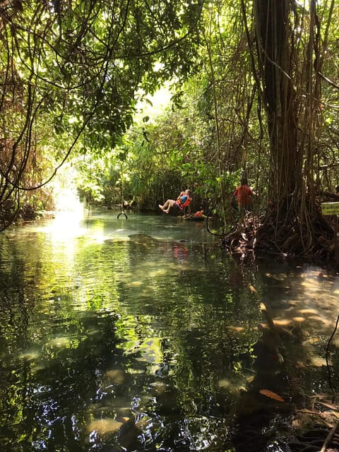 Krabi: Amazon Klong Srakaew Kayaking With Lunch - Frequently Asked Questions