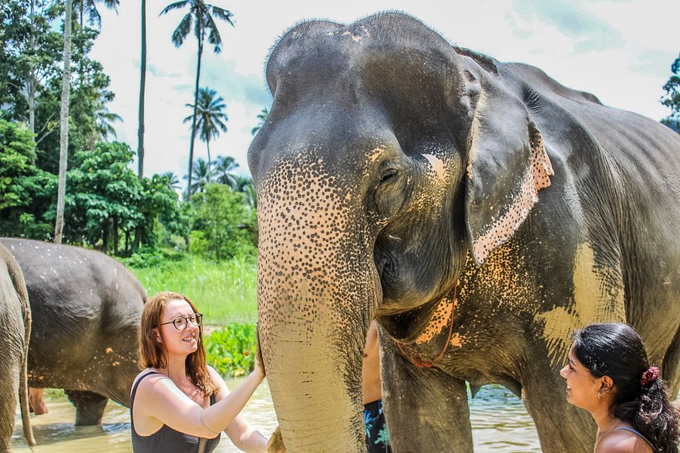 Krabi: Ao Nang Elephant Sanctuary Half-Day Tour - Key Points