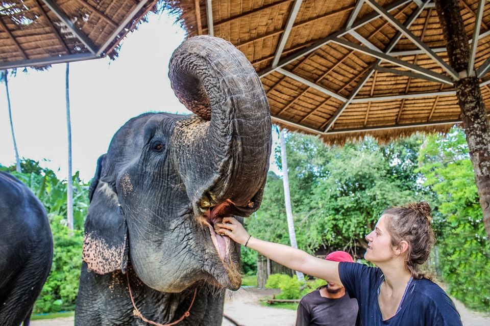 Krabi: Ao Nang Elephant Sanctuary Half-Day Tour - Activity Summary