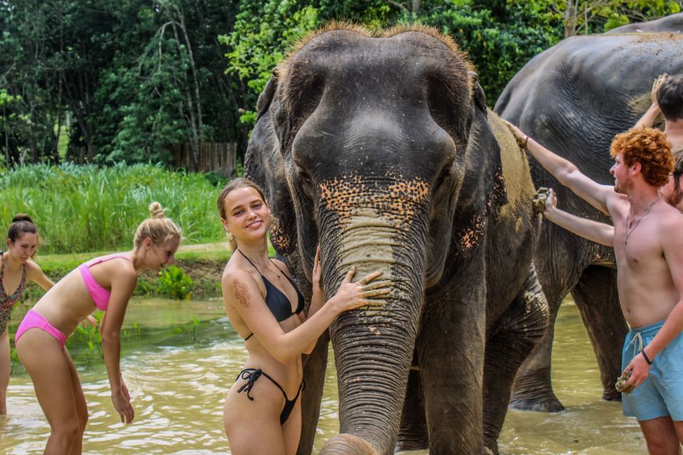 Krabi: Ao Nang Elephant Sanctuary Half-Day Tour - Pickup and Drop-off Details