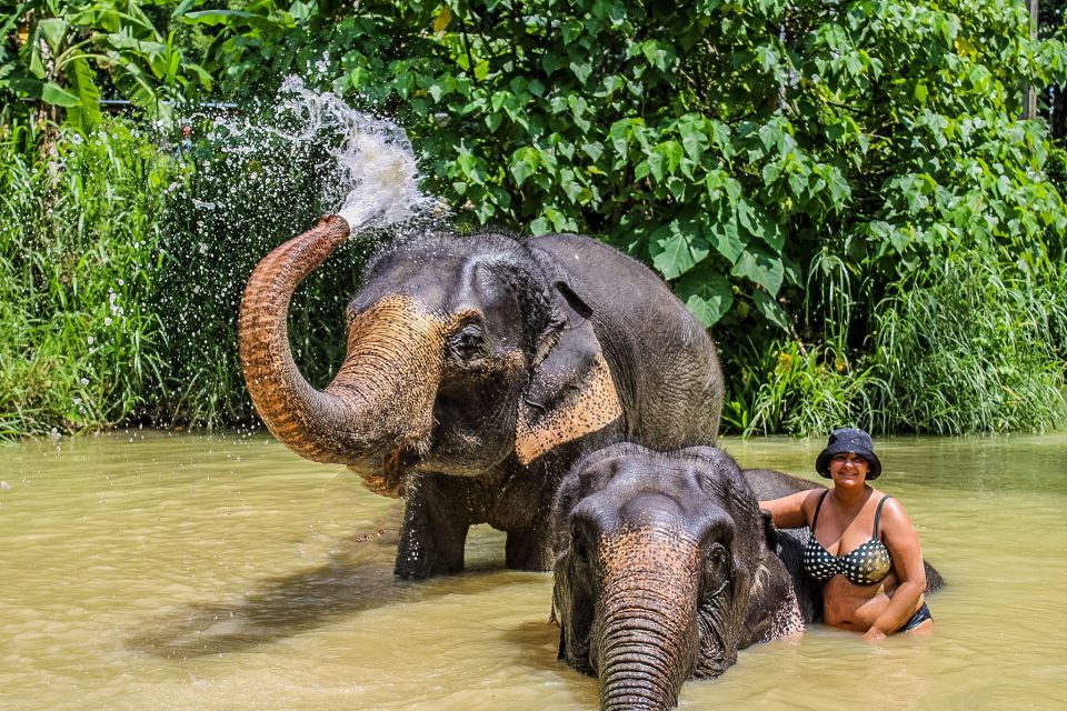 Krabi: Ao Nang Elephant Sanctuary Half-Day Tour - Elephant Interaction Experiences
