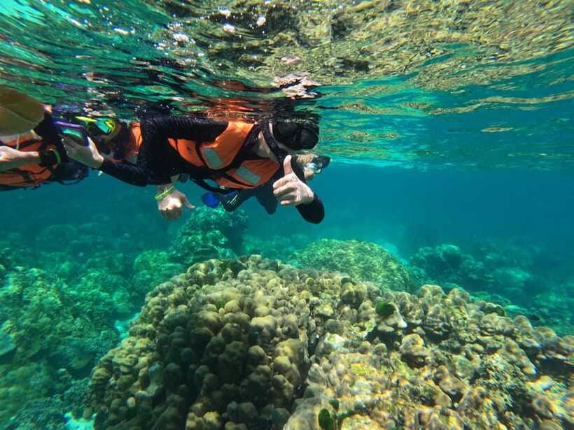 Krabi Aonang: Koh Rok & Koh Haa Snorkelling Day Trip + Lunch - Customer Feedback