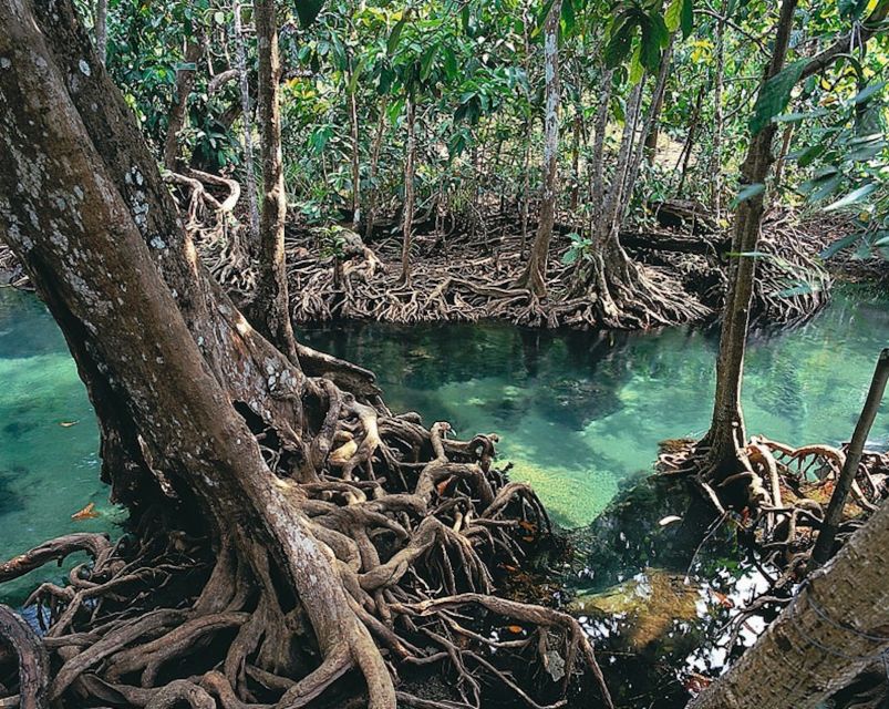 Krabi: Best Mountains and Beaches Private Sunrise Tour - Inclusions