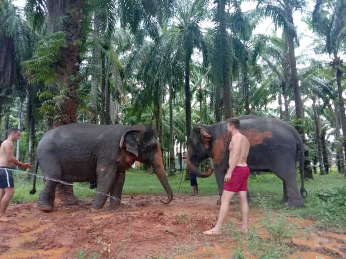 Krabi Elephant Bathing and Atv Adventure (30min/30min) - Experience Highlights