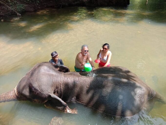 Krabi Elephant Bathing and Atv Adventure (30min/30min) - Duration and Availability