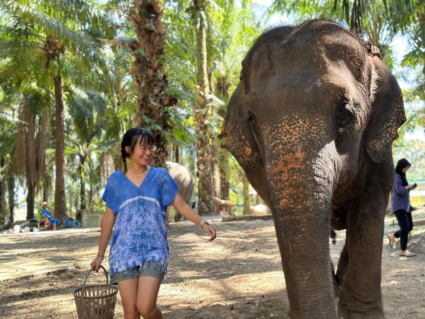 Krabi: Elephant Bathing Session at Krabi Elephant Shelter - Pickup and Drop-off