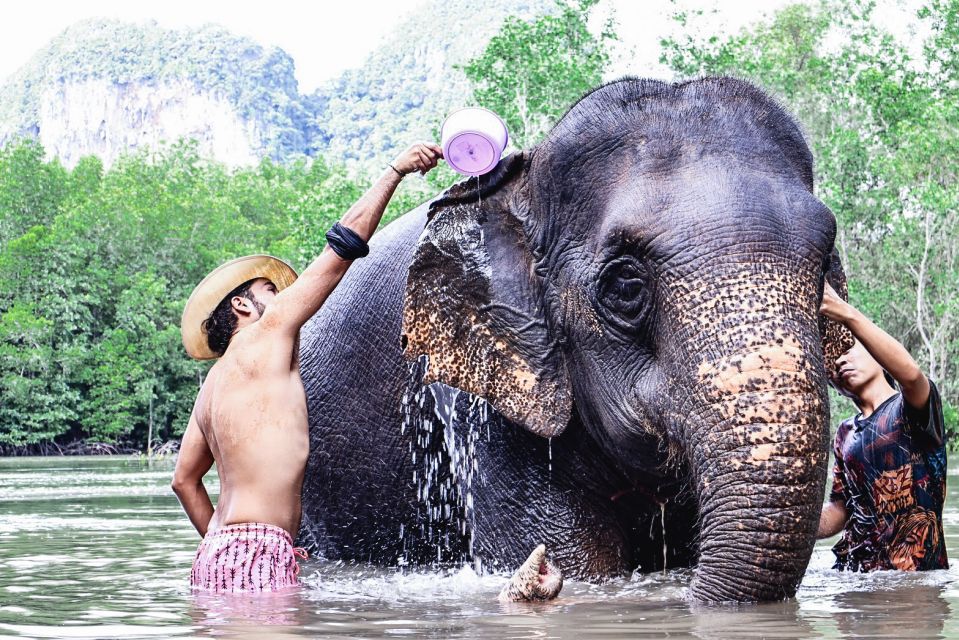 Krabi: Elephant Bathing Session at Krabi Elephant Shelter - Included and Excluded