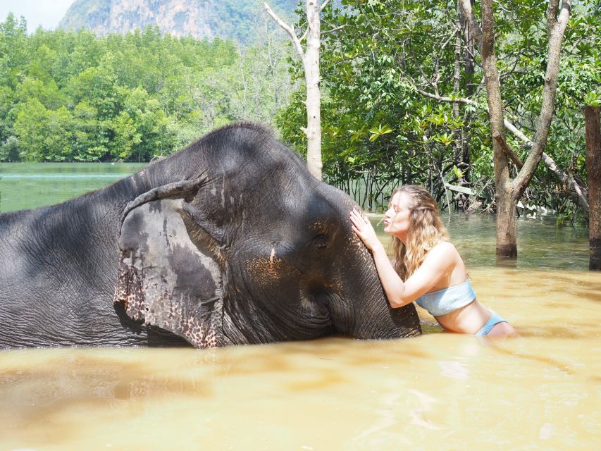 Krabi: Elephant Bathing Session at Krabi Elephant Shelter - Elephant Interaction