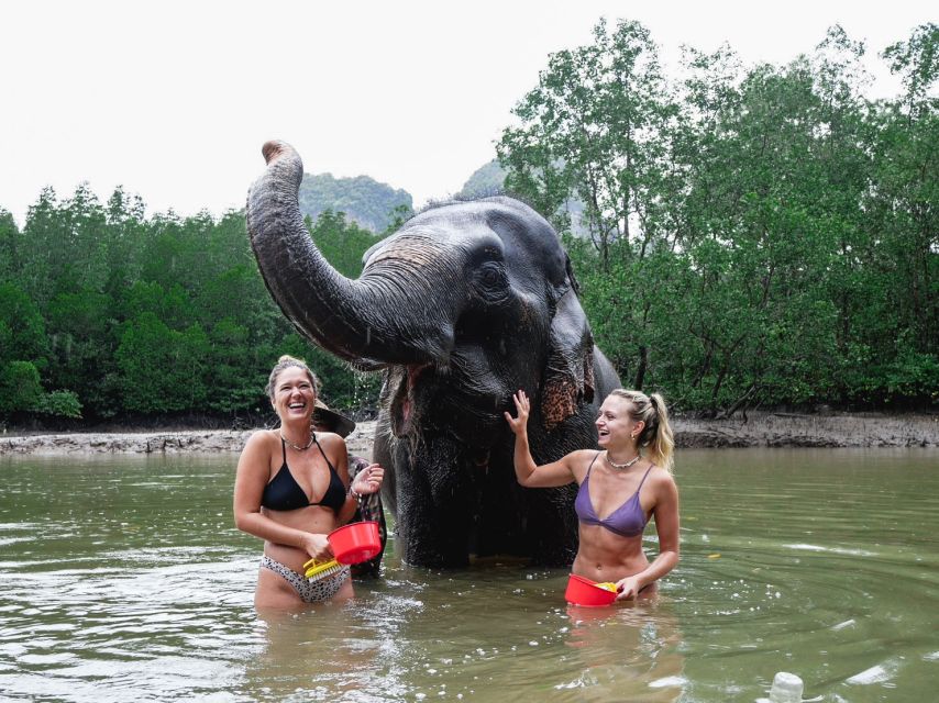 Krabi: Elephant Bathing Session at Krabi Elephant Shelter - Important Considerations