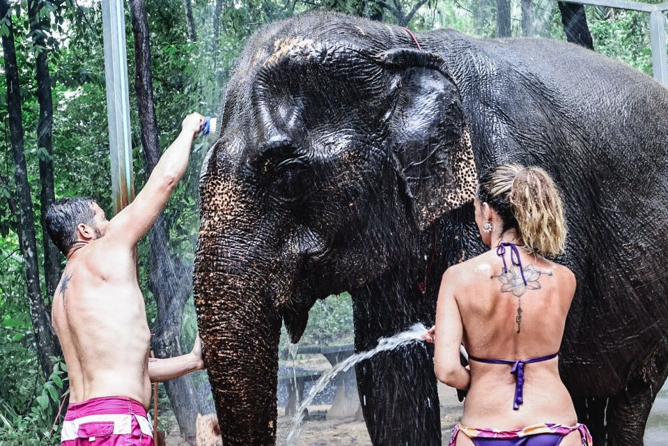 Krabi: Elephant Bathing Session at Krabi Elephant Shelter - Frequently Asked Questions