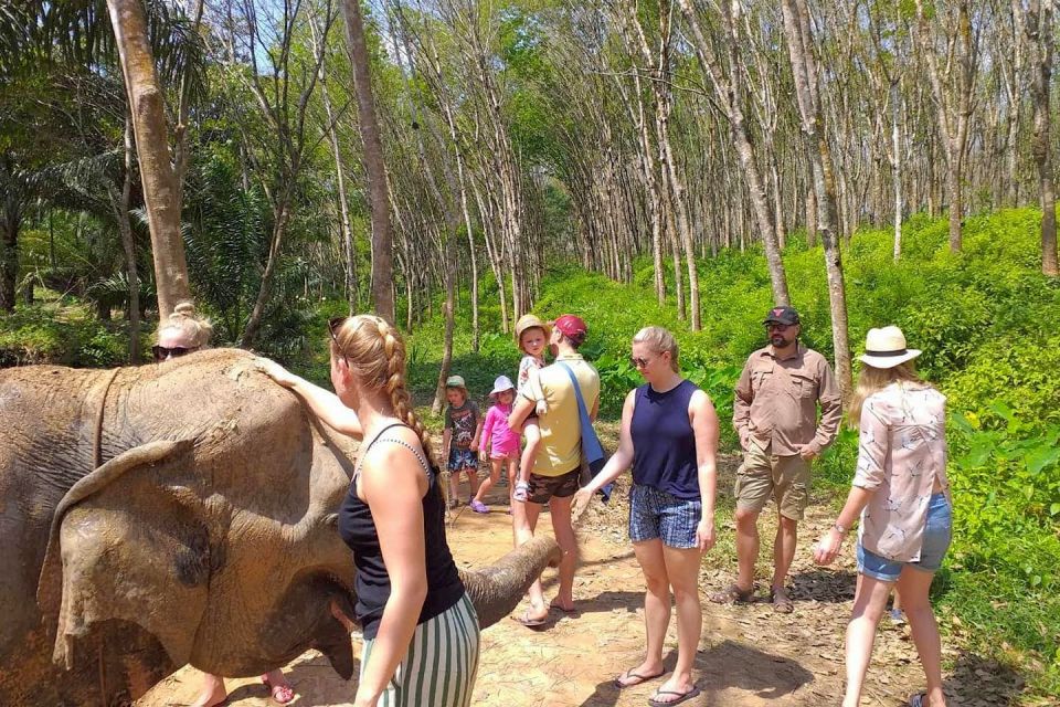 Krabi: Elephant Care House & 7-Level Huay Tho Waterfall Trip - Interacting With Elephants