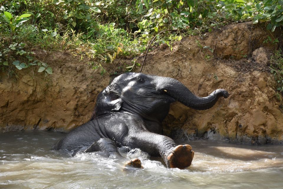 Krabi: Elephant Care House & 7-Level Huay Tho Waterfall Trip - Included Amenities