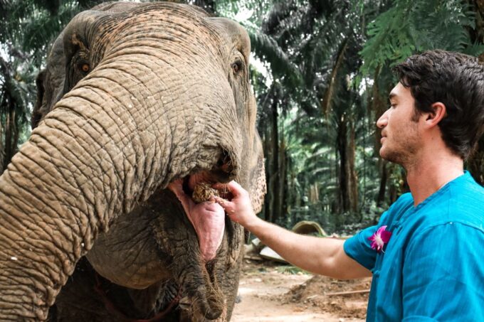 Krabi: Elephant Feeding Program - Getting to the Elephant Sanctuary