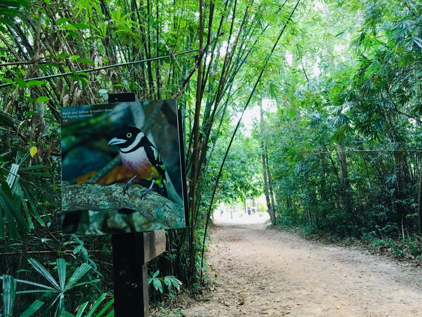 Krabi: Emerald Pool and Hot Spring Waterfall With ATV Riding - Frequently Asked Questions