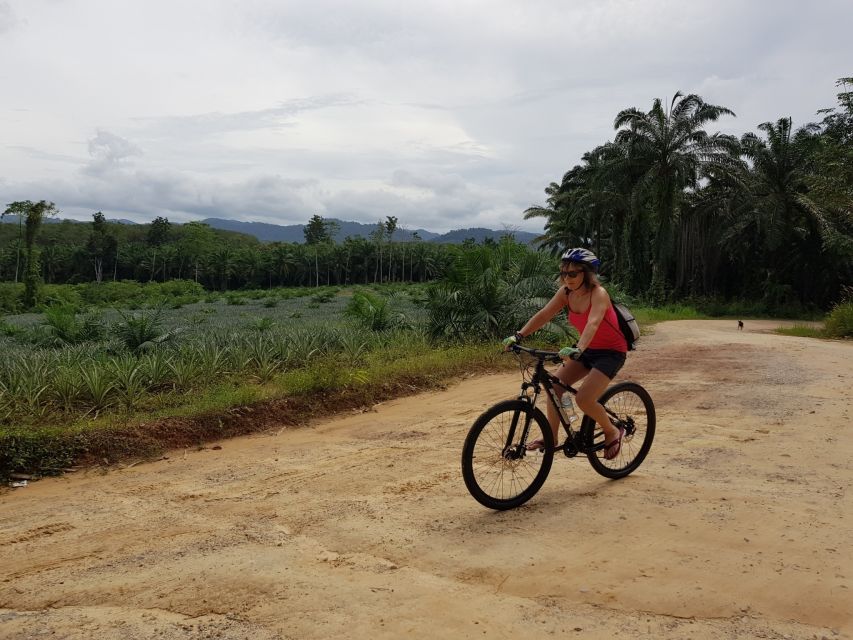 Krabi: Full-Day Jungle Cycling and Emerald Pool Tour - Key Points