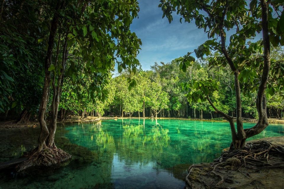 Krabi: Full-Day Jungle Cycling and Emerald Pool Tour - Cycling in the Jungle