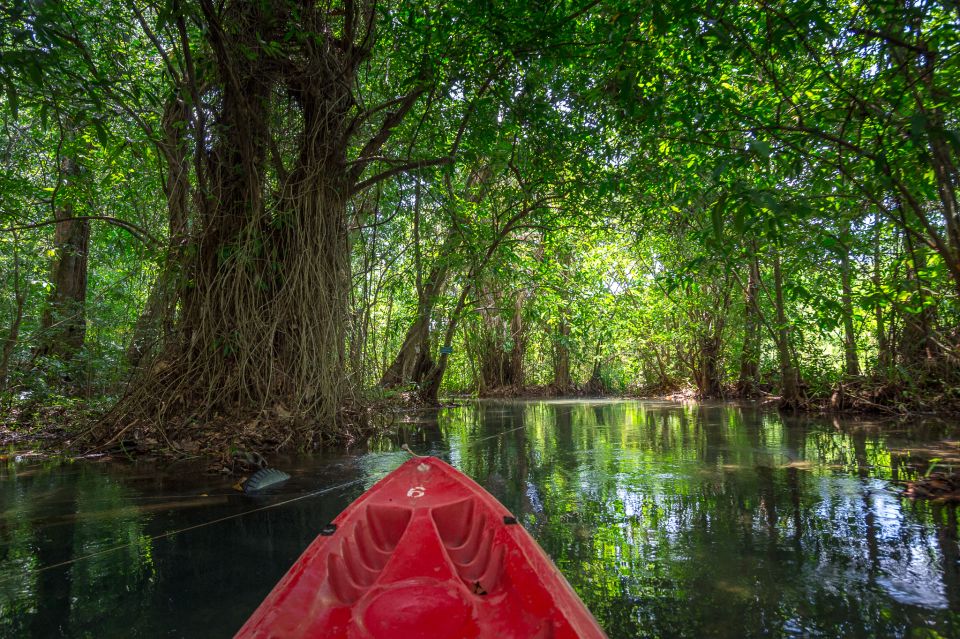 Krabi: Half-Day Blue Lagoon Kayaking at Klong Srakaew & ATV - Included Hotel Transfers