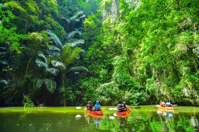 Krabi: Half-Day Bor Thor Mangrove Kayaking Tour - Experience and Itinerary