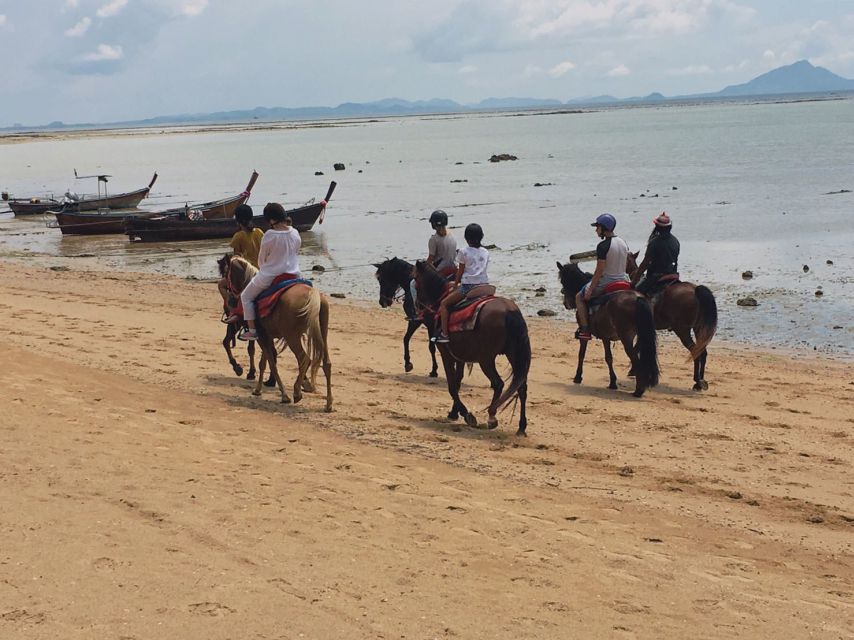 Krabi: Horseback Riding on the Beach - Tour Itinerary