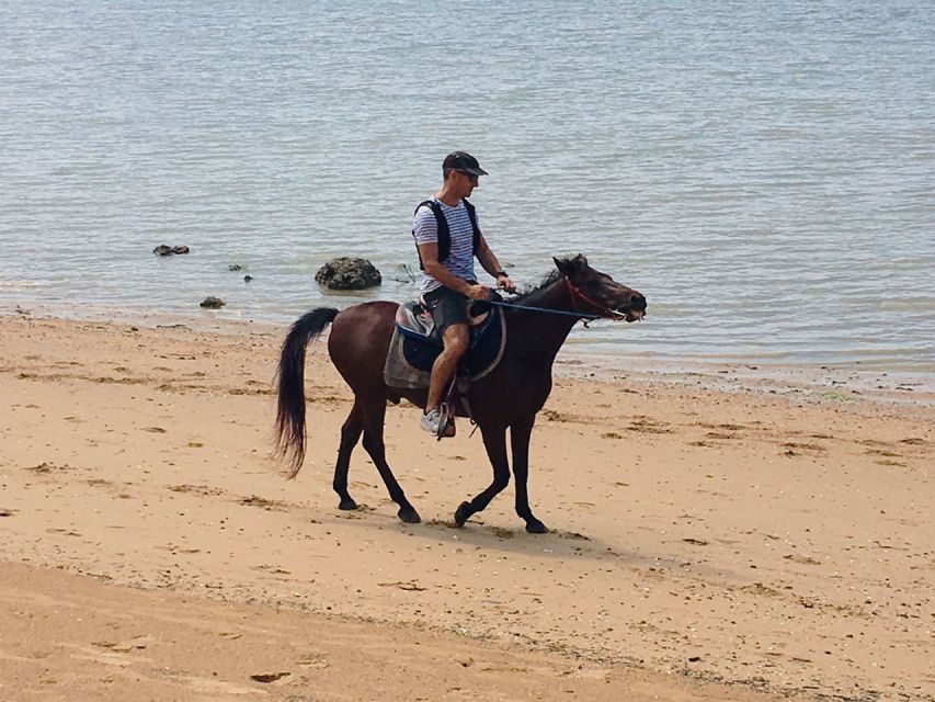 Krabi: Horseback Riding on the Beach - Included in the Tour