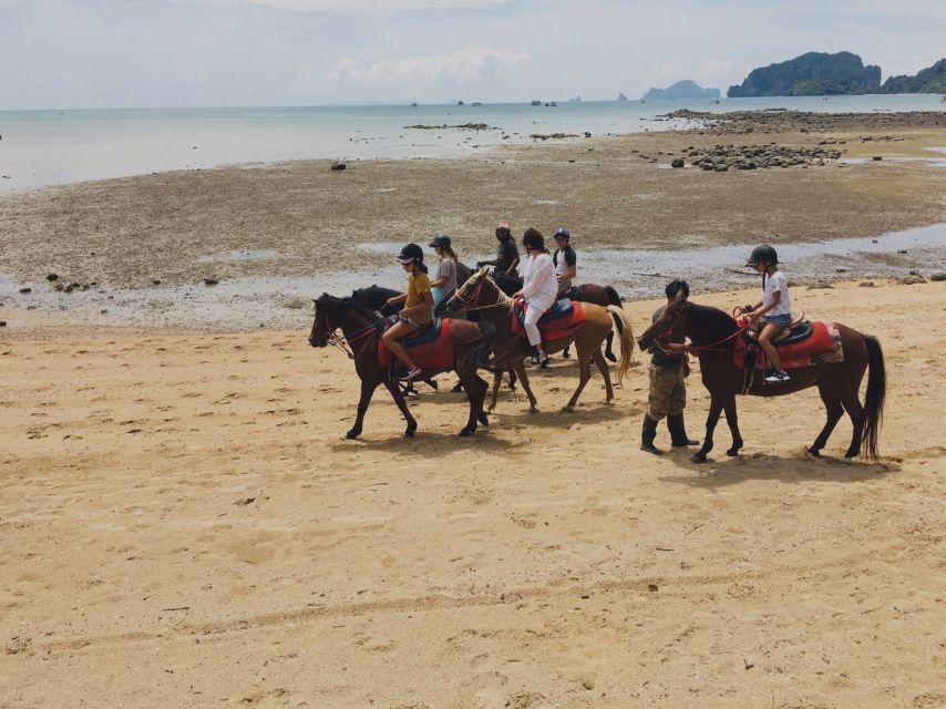 Krabi: Horseback Riding on the Beach - Pickup and Drop-off Locations