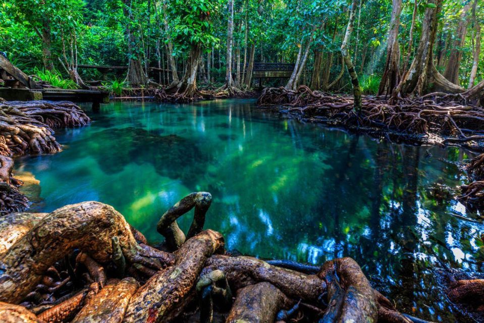 Krabi Hot Spring, Emerald Pool, Tiger Cave and ATV - Key Points