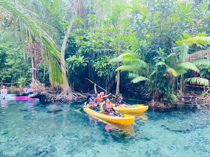 Krabi Kayaking and Swimming Clongrood Tour - Key Points