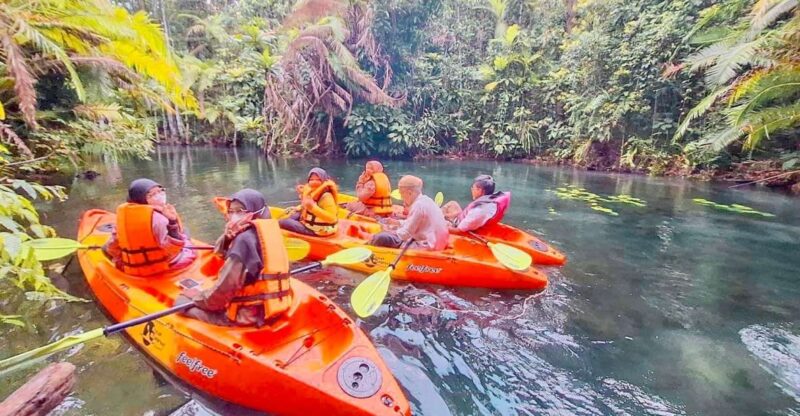 Krabi Kayaking and Swimming Clongrood Tour - Tour Details and Inclusions
