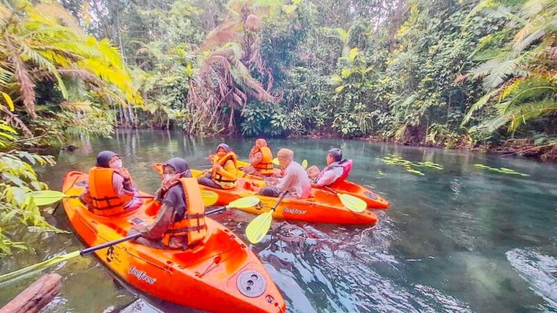 Krabi Kayaking and Swimming Clongrood Tour - Experience Highlights