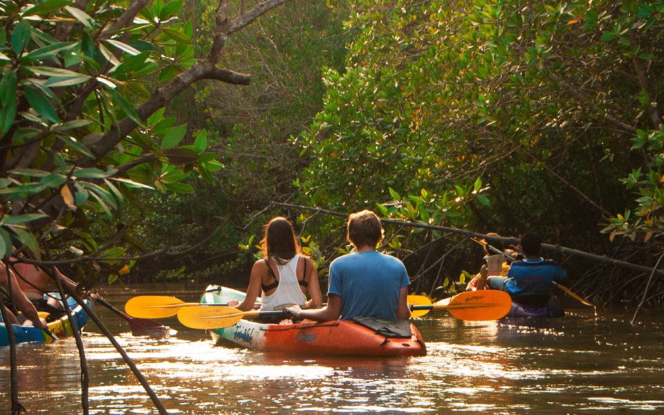 Krabi: Kayaking Ao Thalane and Khaothong Hill Cafe - Limestone Karst Landscapes