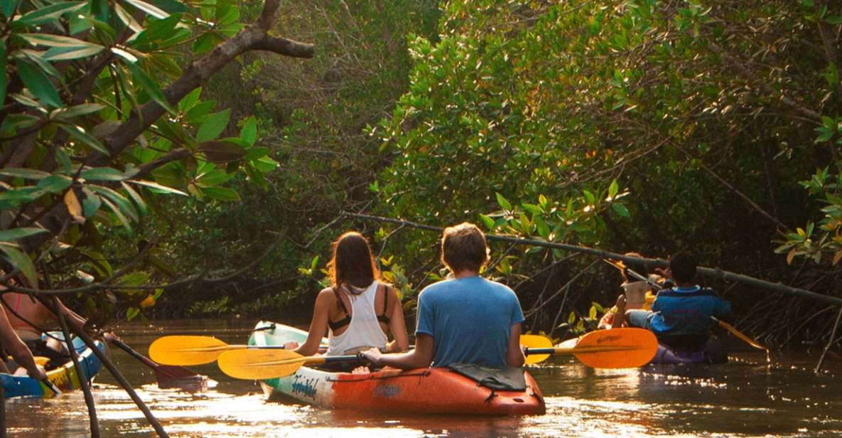 Krabi: Kayaking Ao Thalane and Khaothong Hill Cafe - Wildlife Observation