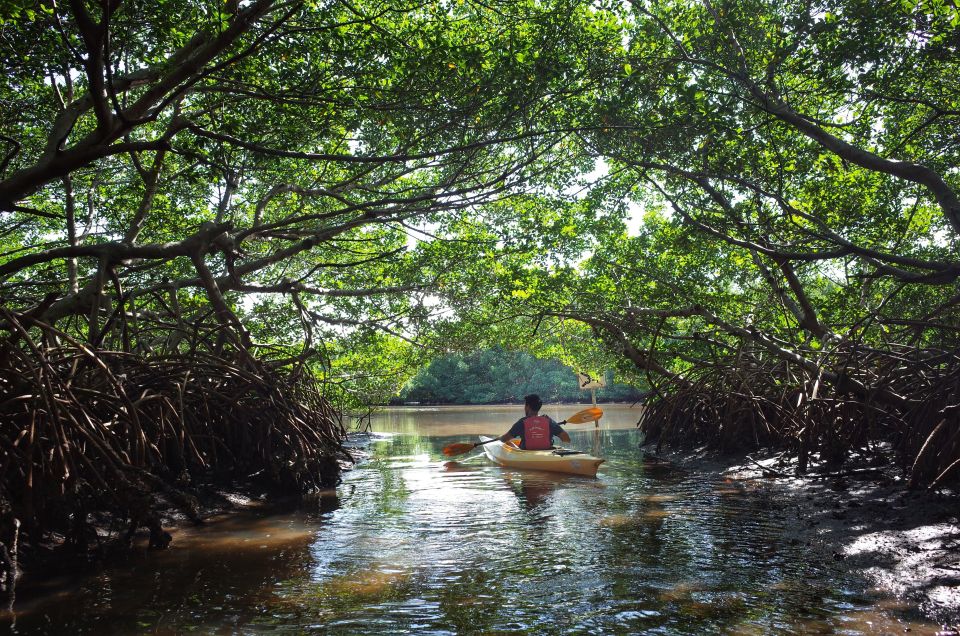 Krabi Kayaking Ao Thalane - Pricing and Booking