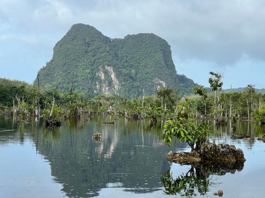 Krabi: Kayaking at Klong Nam Sai, Elephant Bathing & Feeding - Bathing Rescued Elephants